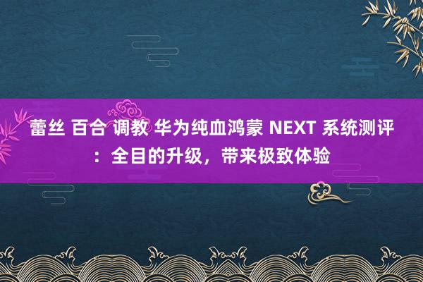 蕾丝 百合 调教 华为纯血鸿蒙 NEXT 系统测评：全目的升级，带来极致体验