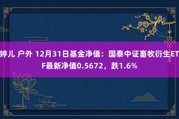 婷儿 户外 12月31日基金净值：国泰中证畜牧衍生ETF最新净值0.5672，跌1.6%