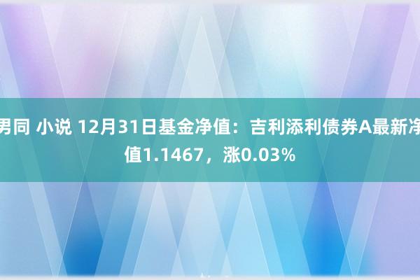 男同 小说 12月31日基金净值：吉利添利债券A最新净值1.1467，涨0.03%