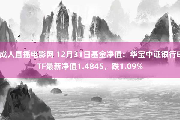 成人直播电影网 12月31日基金净值：华宝中证银行ETF最新净值1.4845，跌1.09%