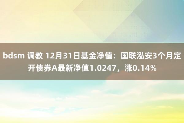 bdsm 调教 12月31日基金净值：国联泓安3个月定开债券A最新净值1.0247，涨0.14%