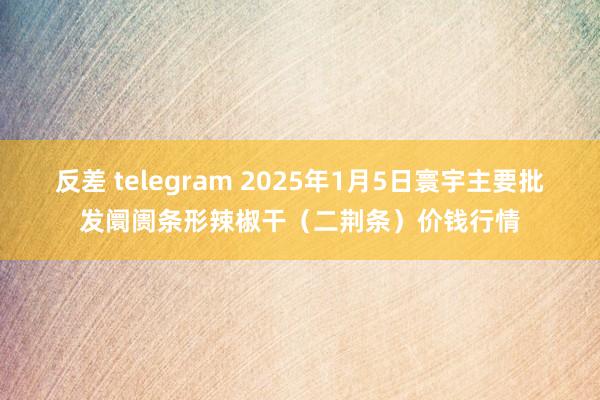 反差 telegram 2025年1月5日寰宇主要批发阛阓条形辣椒干（二荆条）价钱行情