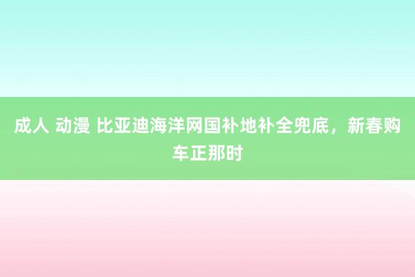 成人 动漫 比亚迪海洋网国补地补全兜底，新春购车正那时