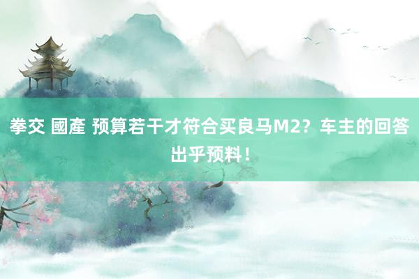 拳交 國產 预算若干才符合买良马M2？车主的回答出乎预料！