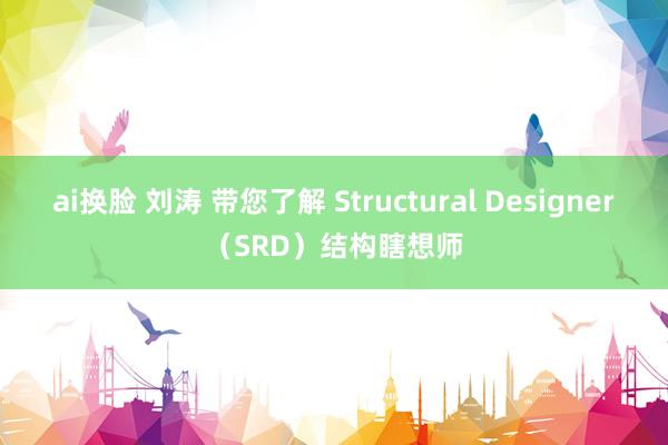 ai换脸 刘涛 带您了解 Structural Designer（SRD）结构瞎想师