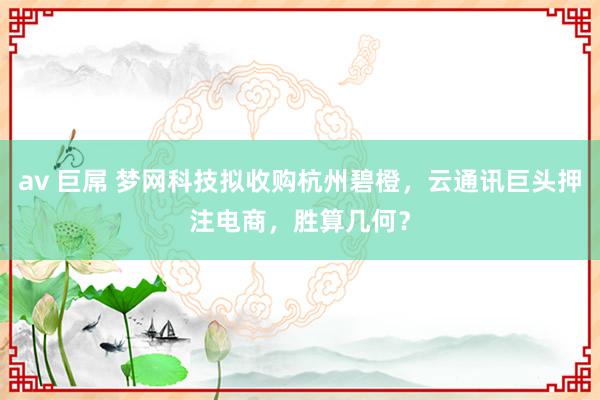 av 巨屌 梦网科技拟收购杭州碧橙，云通讯巨头押注电商，胜算几何？