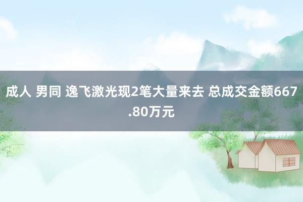 成人 男同 逸飞激光现2笔大量来去 总成交金额667.80万元