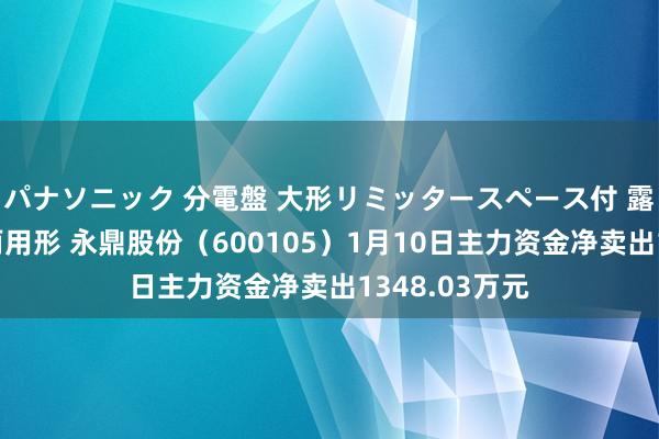 パナソニック 分電盤 大形リミッタースペース付 露出・半埋込両用形 永鼎股份（600105）1月10日主力资金净卖出1348.03万元