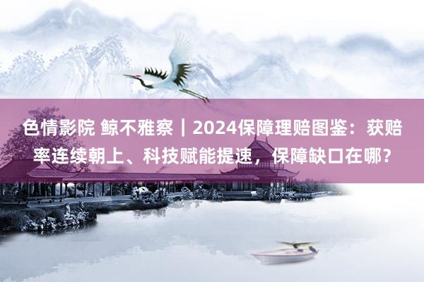 色情影院 鲸不雅察｜2024保障理赔图鉴：获赔率连续朝上、科技赋能提速，保障缺口在哪？