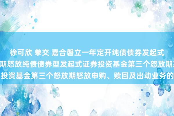 徐可欣 拳交 嘉合磐立一年定开纯债债券发起式: 对于嘉合磐立一年如期怒放纯债债券型发起式证券投资基金第三个怒放期怒放申购、赎回及出动业务的公告