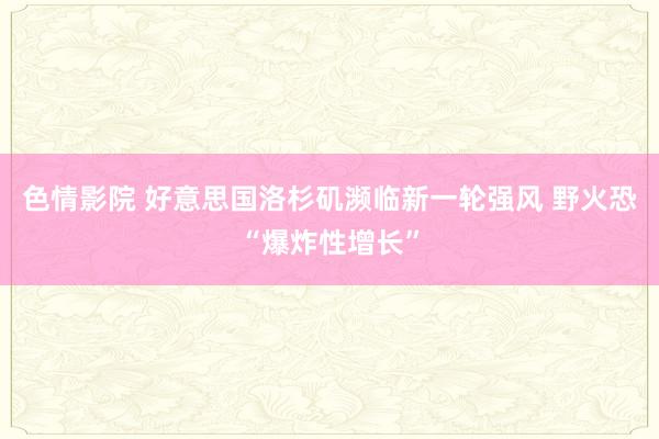 色情影院 好意思国洛杉矶濒临新一轮强风 野火恐“爆炸性增长”