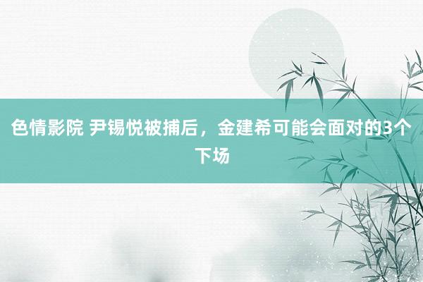 色情影院 尹锡悦被捕后，金建希可能会面对的3个下场